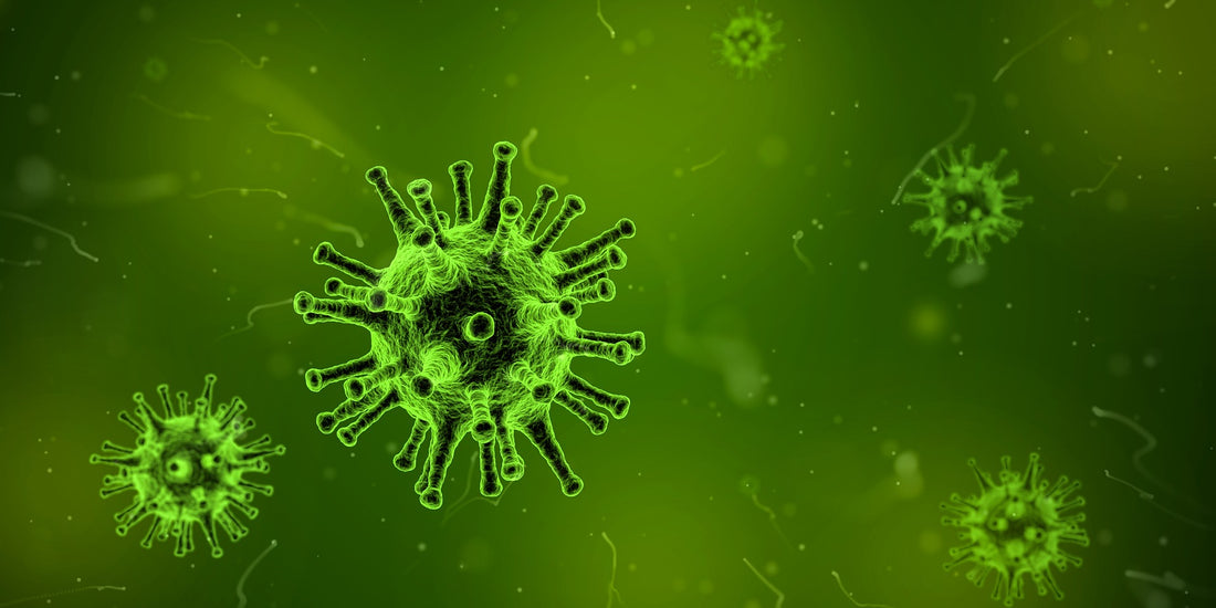 5 Common Species of Bacteria on Phones & What to Do About Them