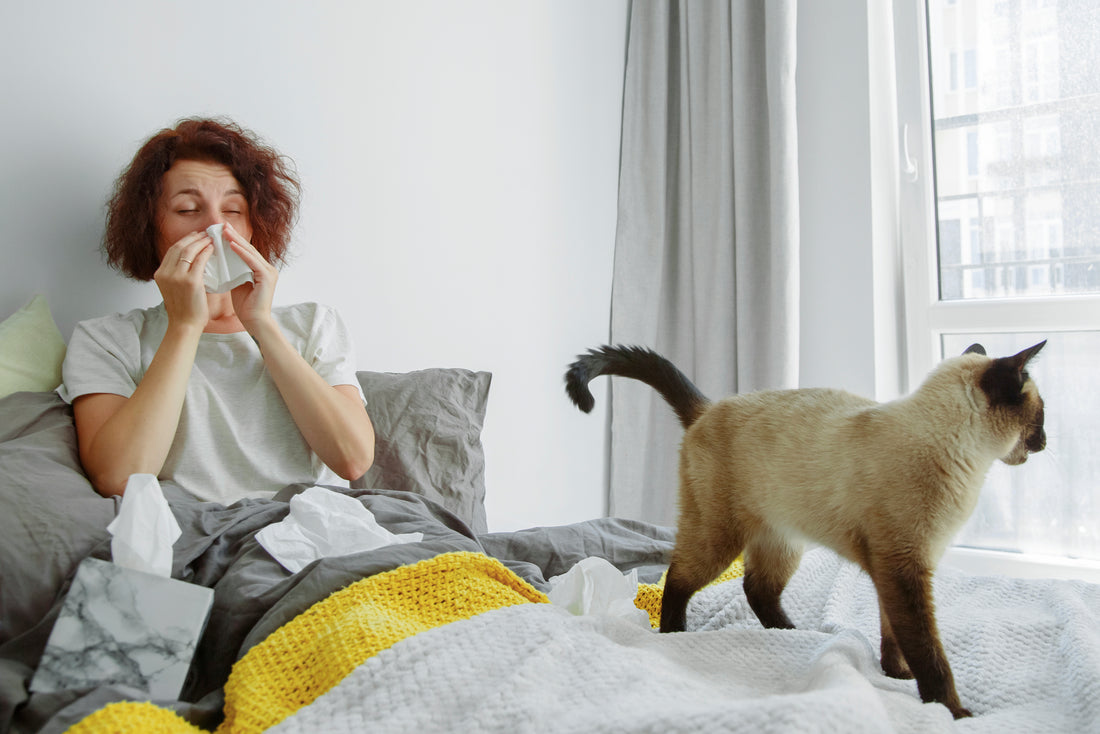 Flu Season - is in full swing